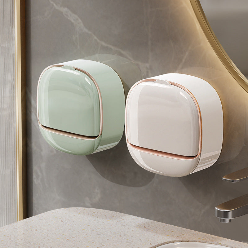 Wall-mounted soap dish