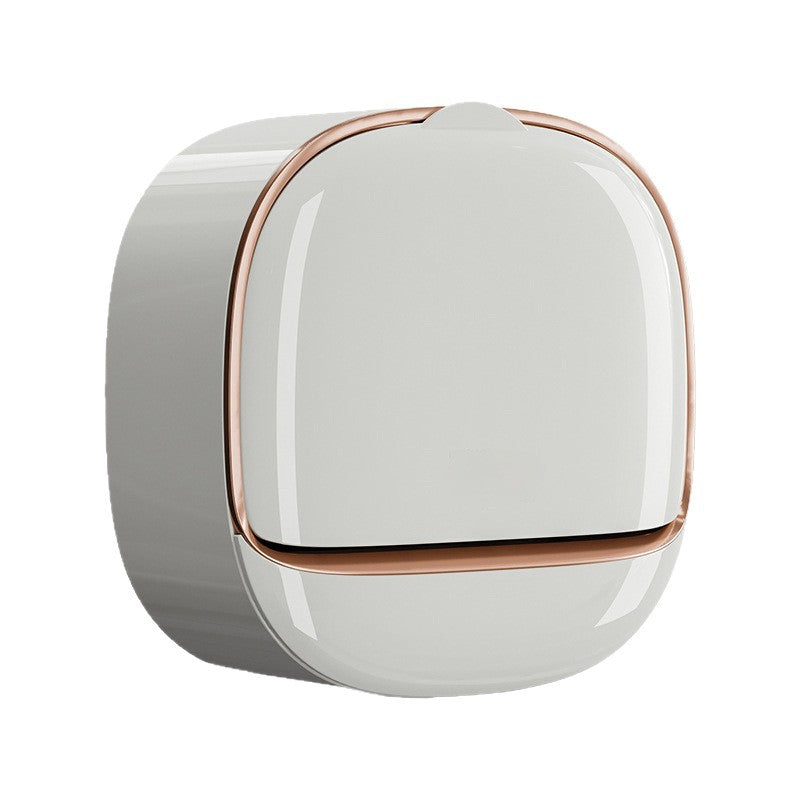 Wall-mounted soap dish