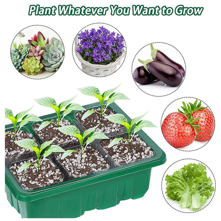 🌱Mini květináč na sazenice s víkem