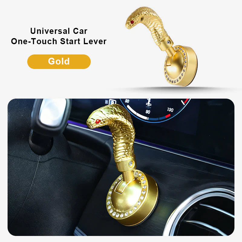 Páka startování auta ve tvaru hada s jedním tlačítkem