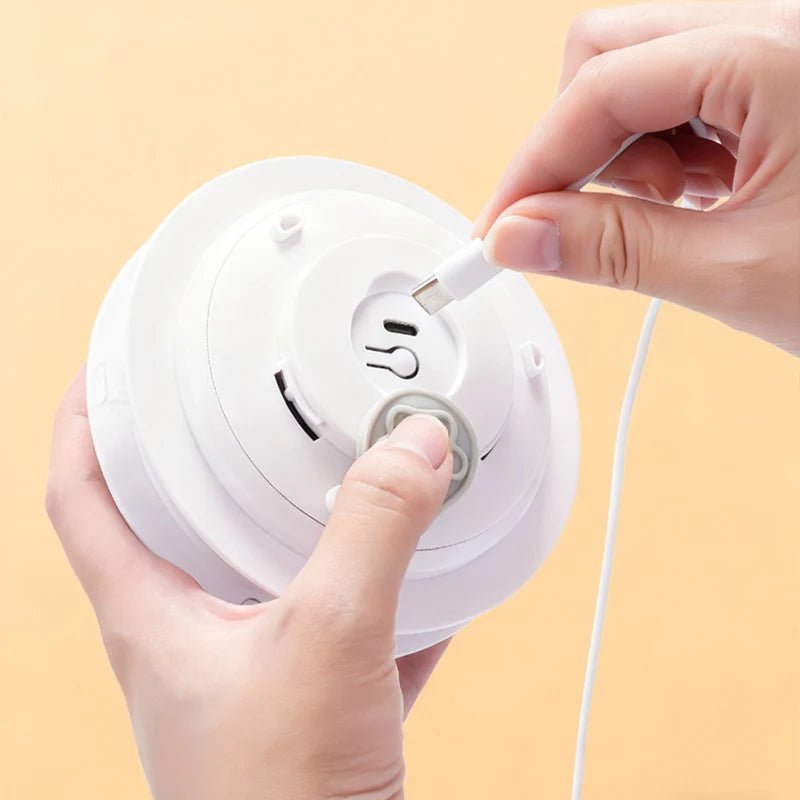 Hra na schovávanou s kočkou