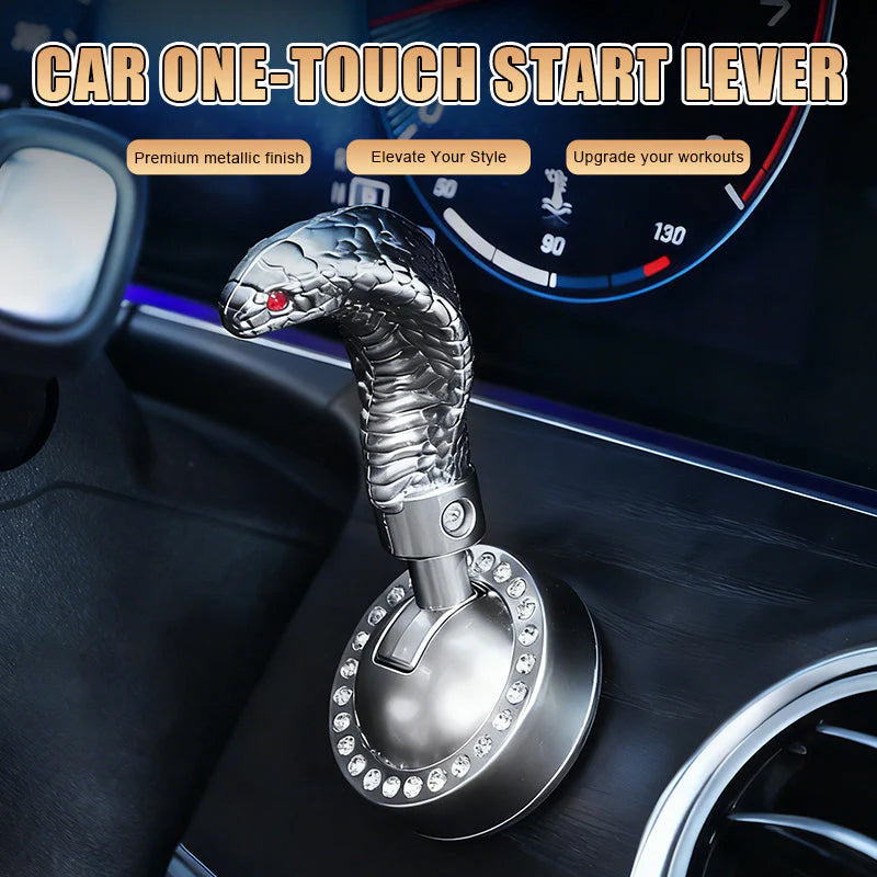 Páka startování auta ve tvaru hada s jedním tlačítkem