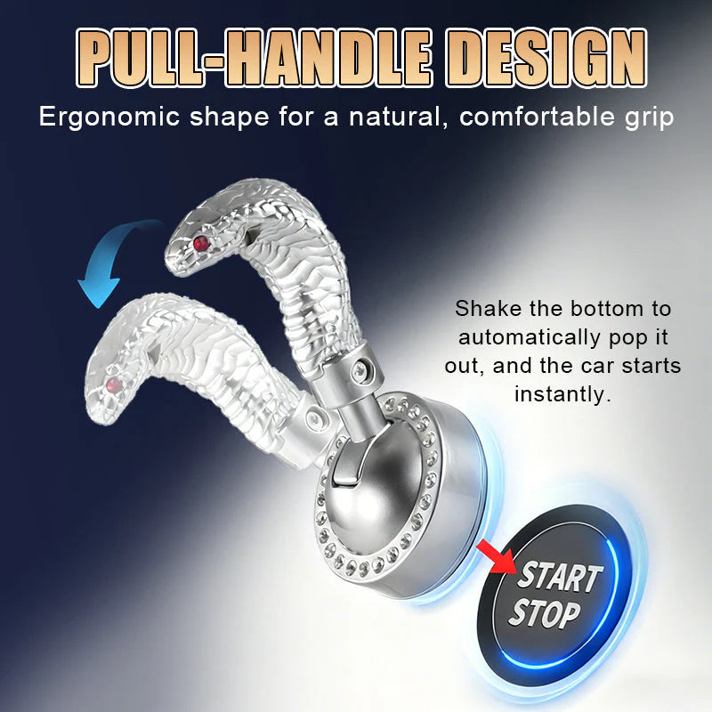 Páka startování auta ve tvaru hada s jedním tlačítkem