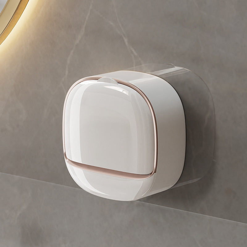 Wall-mounted soap dish