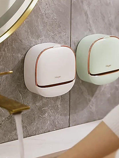 Wall-mounted soap dish