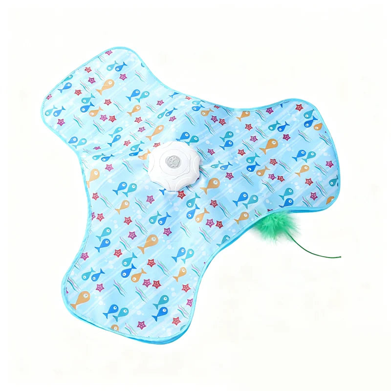 Hra na schovávanou s kočkou