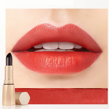 Multifunkční, dlouhotrvající barevná rtěnka💄